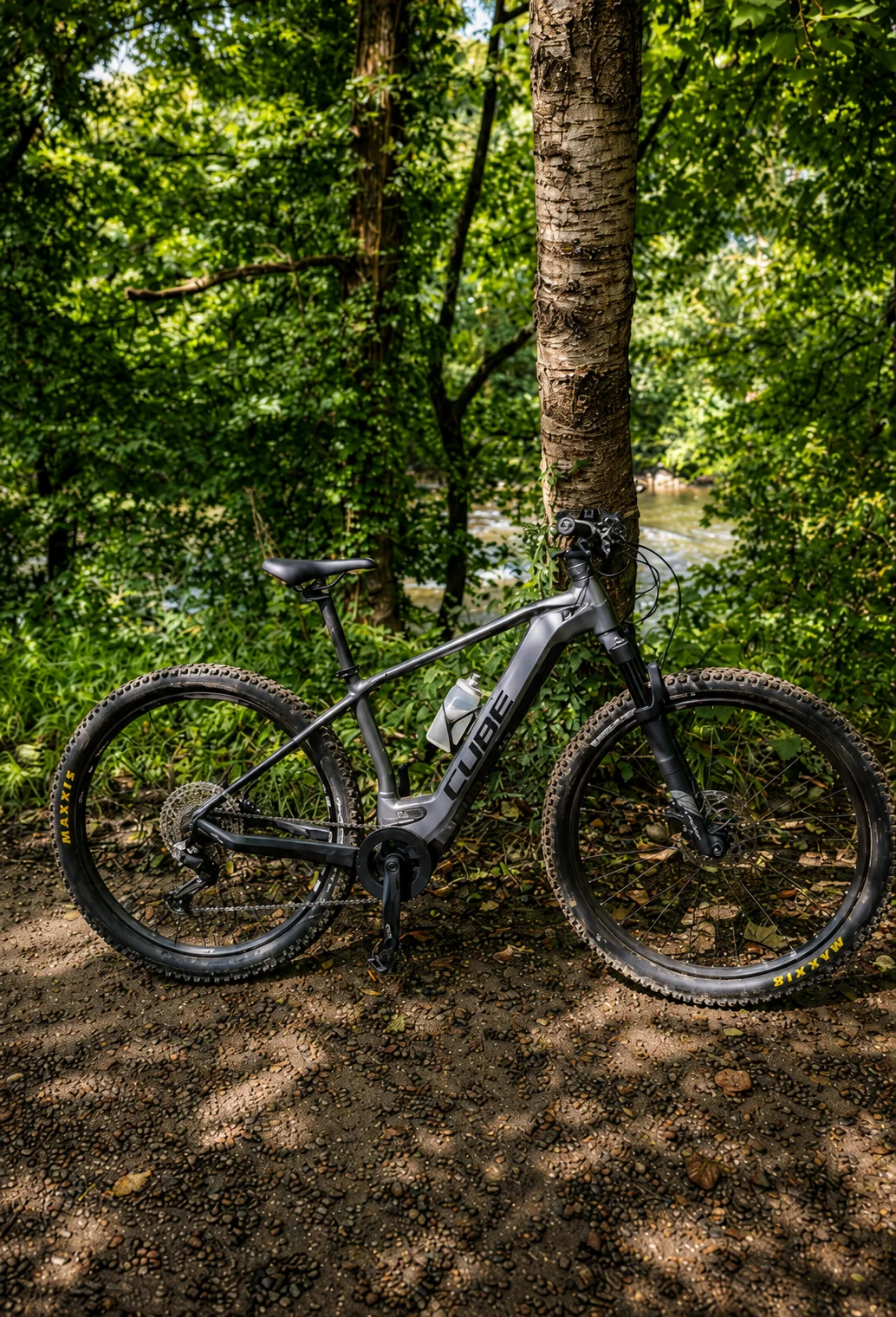 A mountain bike leaning against a tree beside a woodland trail