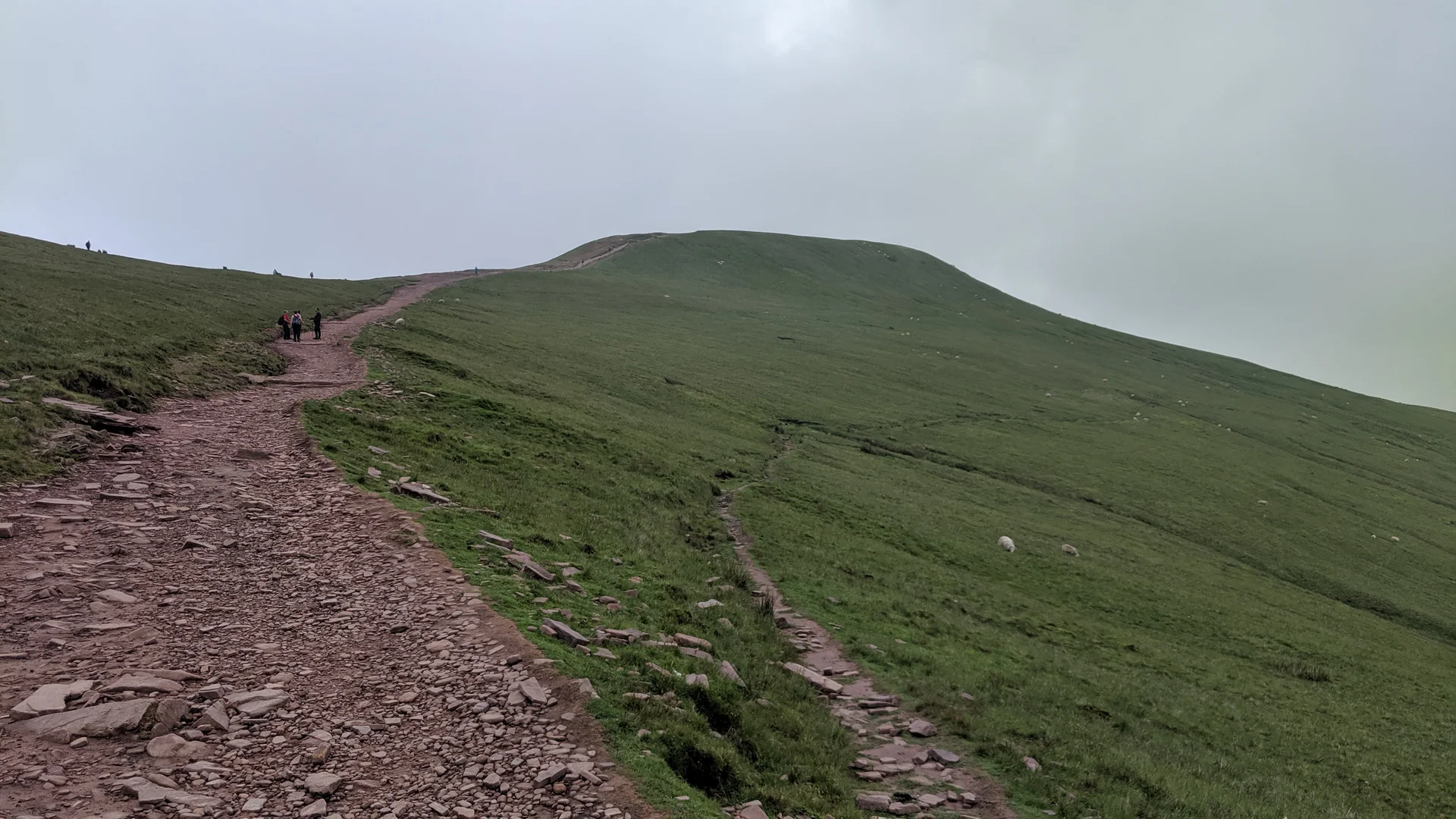 The red sandstone path climbing to Pen y Fan, sheep grazing the slopes