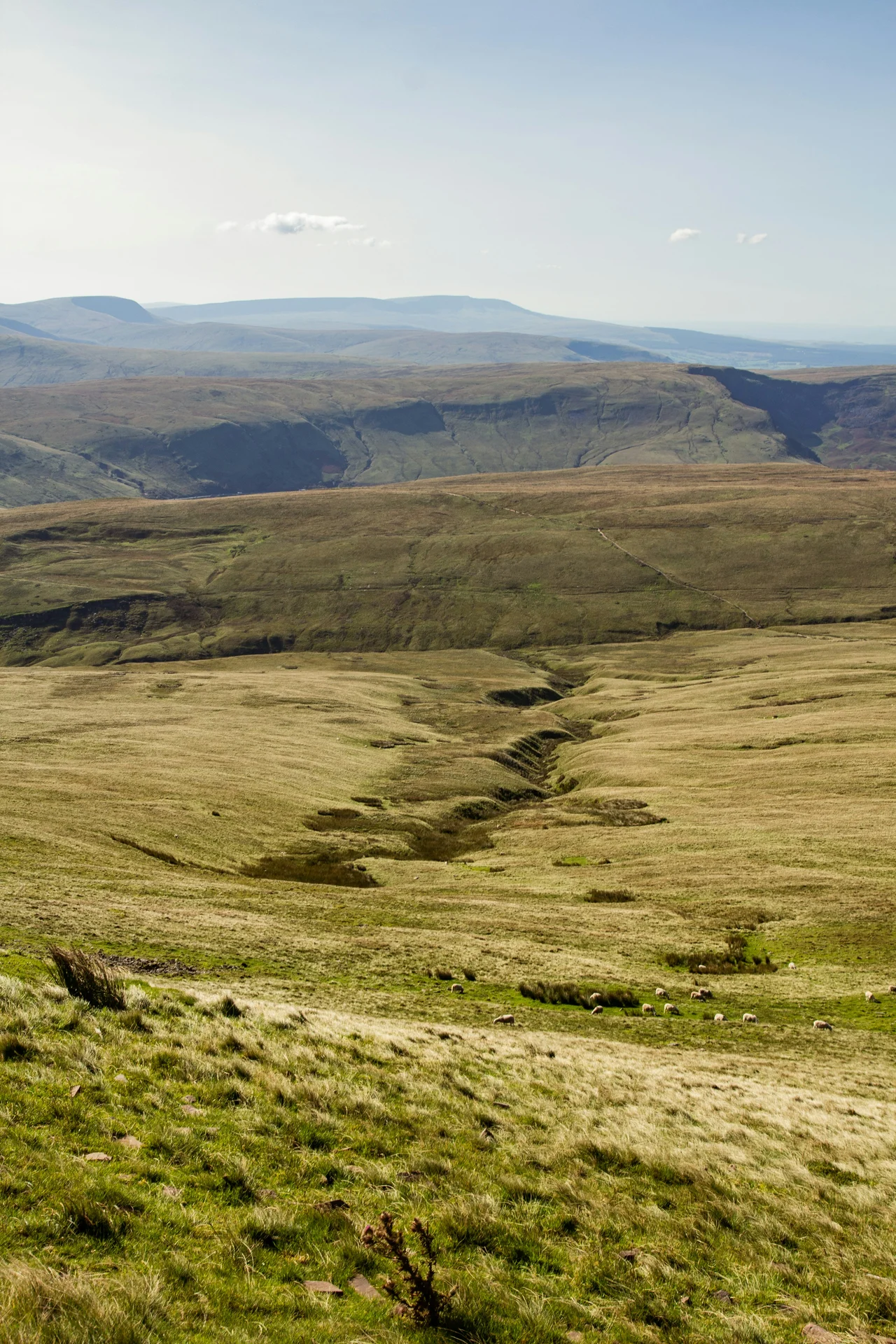 Sweeping view across the Brecon Beacons escarpment toward distant peaks, sheep grazing below
