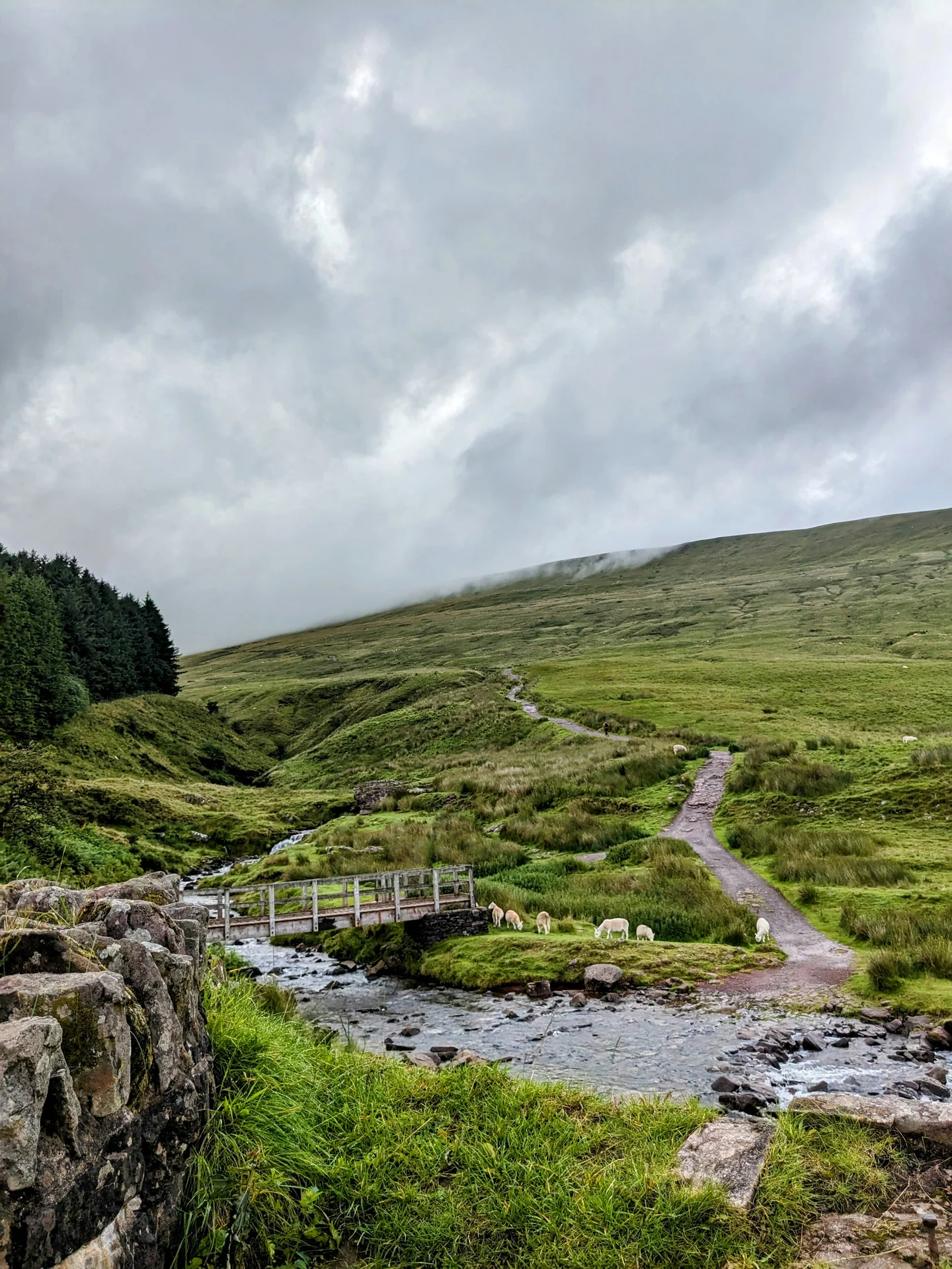 Footbridge and stone path climbing from Storey Arms toward Corn Du and Pen y Fan