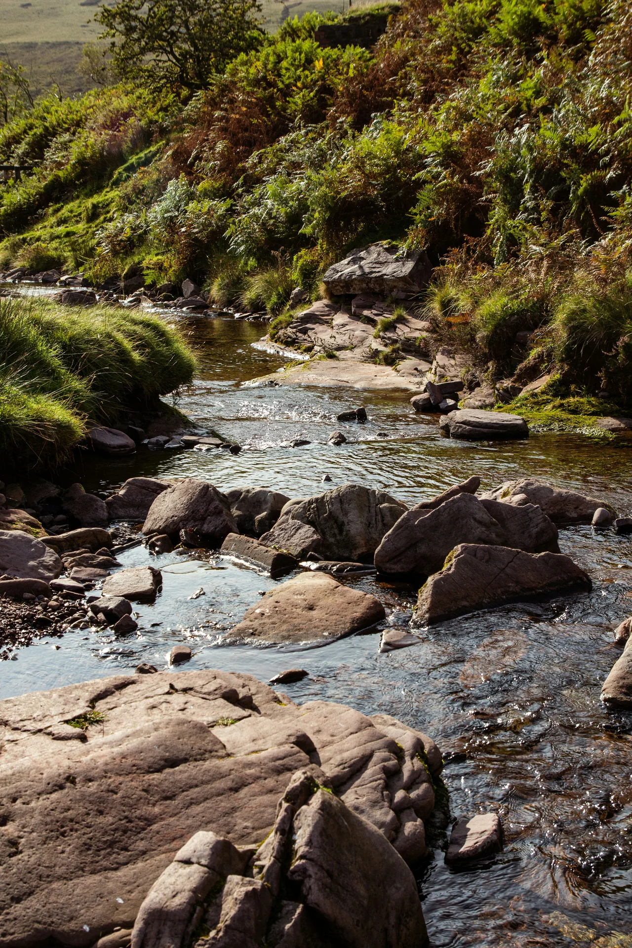A sunlit rocky stream tumbling over red sandstone boulders, with ferns and grass along the banks