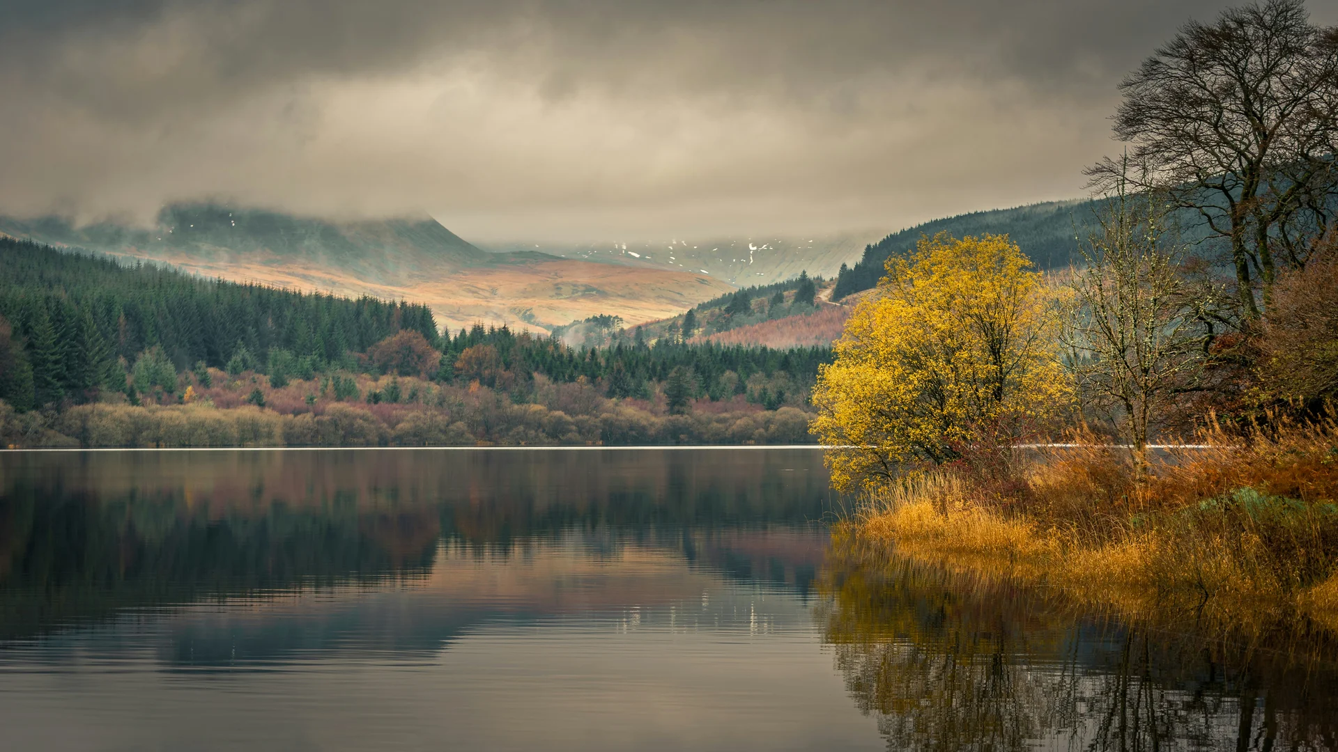 Still water and misty forest edge at Usk Reservoir