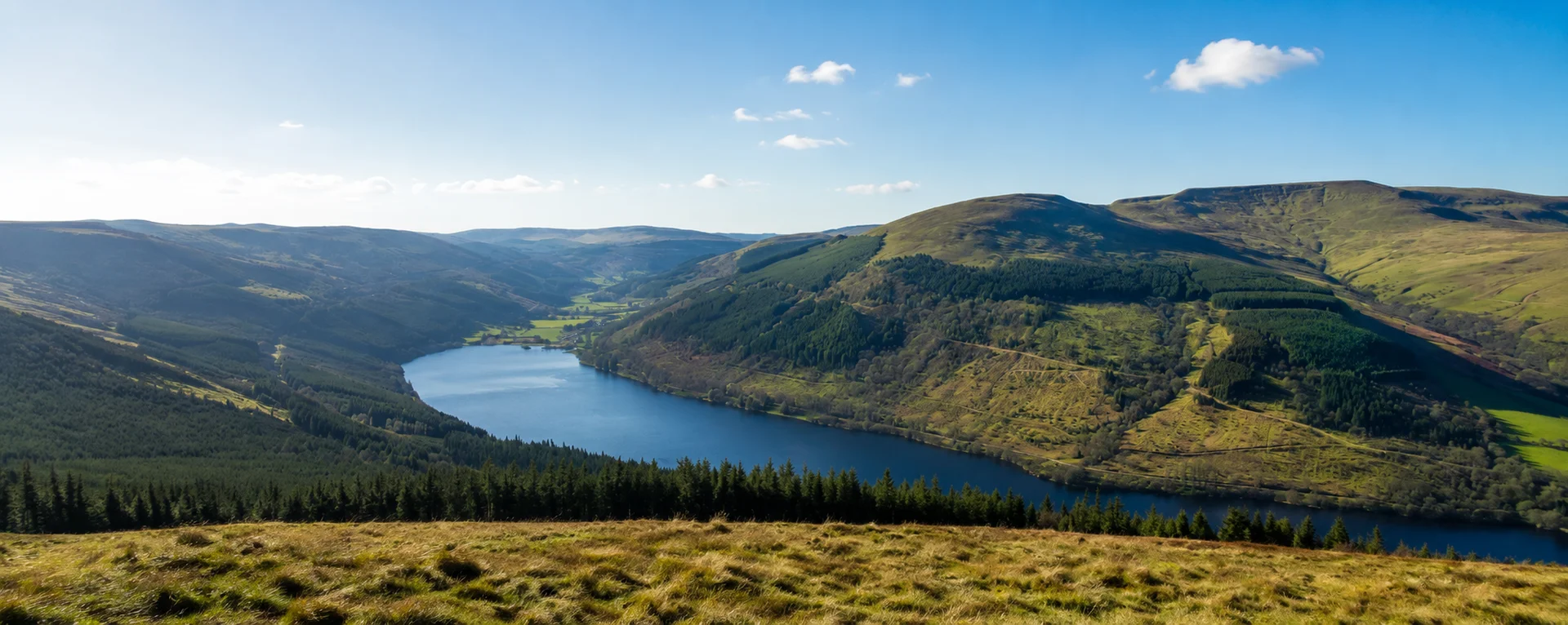 A wide view over Talybont Reservoir from a green hillside under blue sky